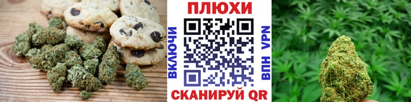 где можно купить наркотик  Лыткарино  мориарти формула  Cannafood конопля 