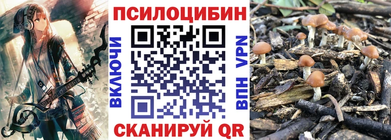 Галлюциногенные грибы Cubensis  Лыткарино 